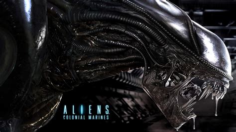 Xenomorph Hd Wallpapers