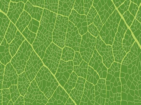 Leaf Pattern Vector Art & Graphics | freevector.com