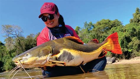 Pescaria De Pirarara Peixe Arara Do Rio Das Mortes Mt Youtube