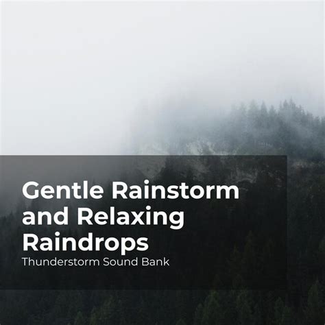 Gentle Rainstorm And Relaxing Raindrops By Thunderstorm Sound Bank On Tidal