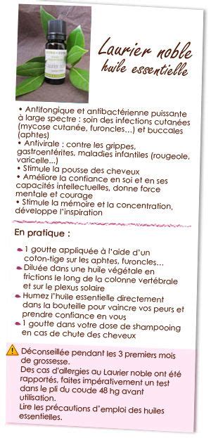 Dossier Th Matique Les Essentielles De La Rentr E Huiles