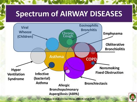 Reactive Airway Diseases 2018 Pmm