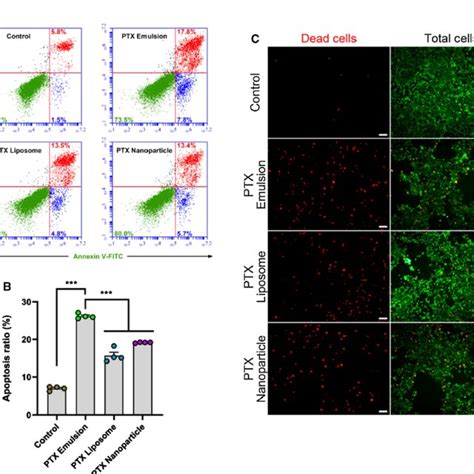 In Vitro Apoptosis Inducing Effects Of Ptx Nanoformulations In T