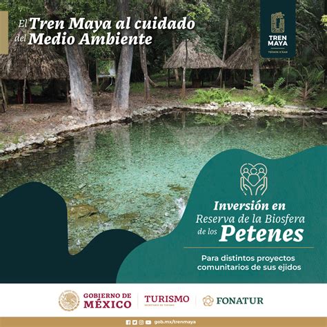 Tren Maya On Twitter El Cuidado Del Medio Ambiente En El Proyecto