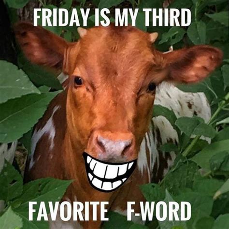 Friday Is My Third Favorite F Word Happy Friday Meme Friday Jokes