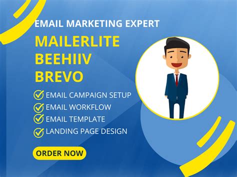 Brevo Beehiiv And Mailerlite Template Newsletter Landing Page And Automation Upwork