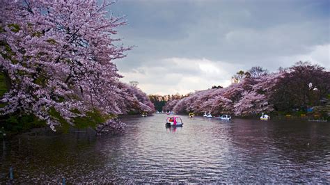 Inokashira Park, Tokyo, Japan - Park Review | Condé Nast Traveler