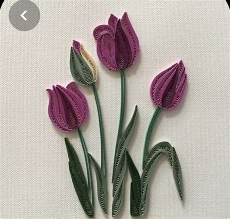 Three Purple Flowers With Green Stems On A White Surface