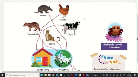 CIENCIA Y TECNOLOGIA 2 SEMANA 28 AÑO ESCOLAR 2022 IMPORTANCIA DE