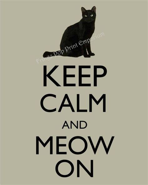 A Black Cat With The Words Keep Calm And Meow On