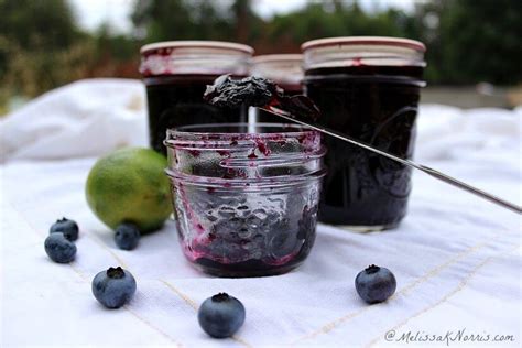 Easy Blueberry Jam Recipe No Pectin Bryont Blog