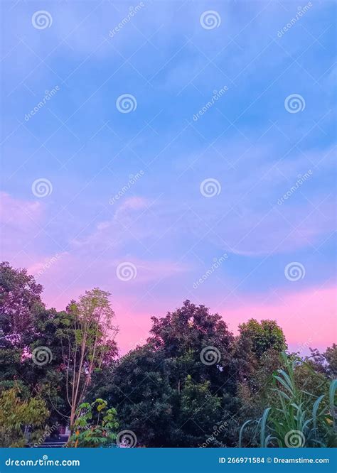 Morning pink sky stock photo. Image of plain, field - 266971584