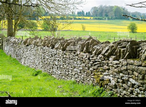 A Well Maintained Typical Cotswold Style Dry Stone Wall Around A Field