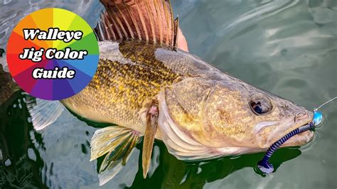 Breaking Down Jighead Color For Walleyes Everything You Need To Know