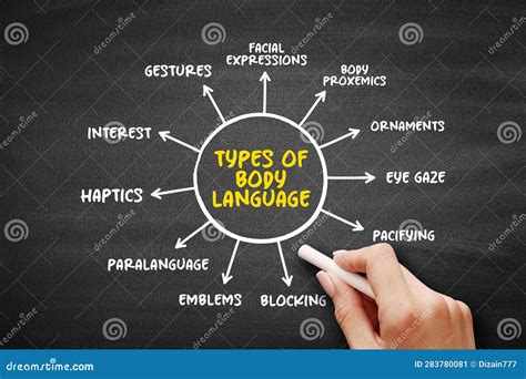 Types Of Body Language Range Of Nonverbal Signals That You Can Use To