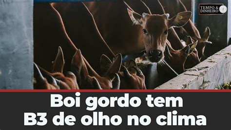 Boi gordo tem cotações em queda na B3 de olho no clima e na