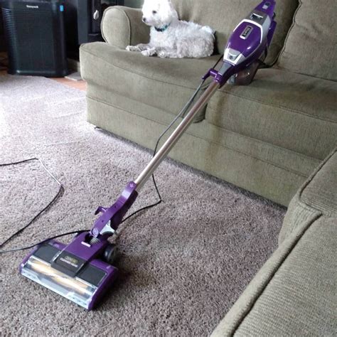 Best Vacuum Cleaners 2024 Pet Hair - Timmy Cissiee