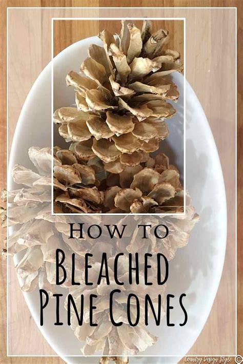 How To Bleach Pine Cones Artofit