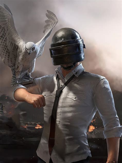 Playerunknowns Battlegrounds Pubg Mobile Helmet Guy With Falcon Bird 4k Wallpaper Download