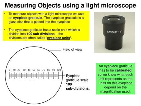 Why Is It Necessary To Calibrate Your Microscope For Accurate Results