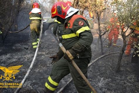 Stato Di Agitazione Corpo Forestale In Piena Campagna Antincendi