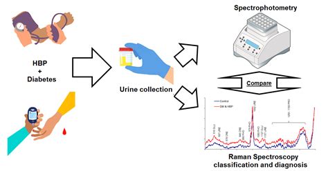 Bioengineering Free Full Text Biochemical Analysis Of Urine Samples