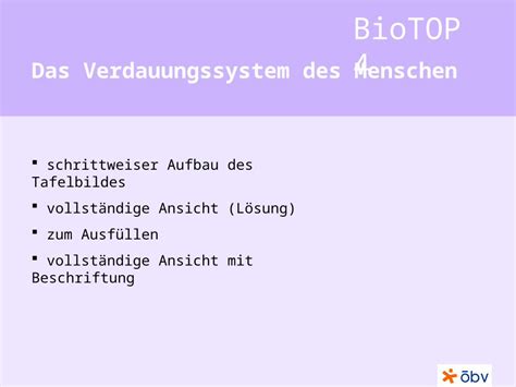 Ppt Biotop Das Verdauungssystem Des Menschen Schrittweiser Aufbau