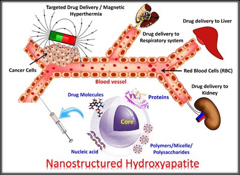 Recent Progress on Fabrication and Drug Delivery Applications of ...