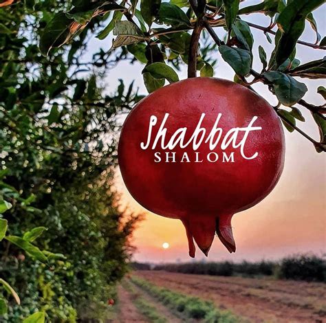 Shabbat Shalom Shabbat Shalom Shabbat Shalom Images Shalom