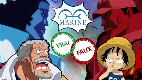 One Piece Seul Un Fan Aura Ce Quiz Vrai Ou Faux Sur La Marine