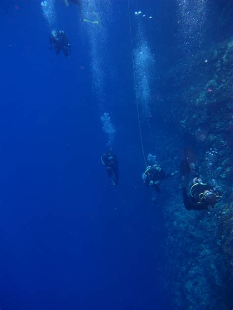 Daily Underwater Photo: Backside Molokini Crater, Maui