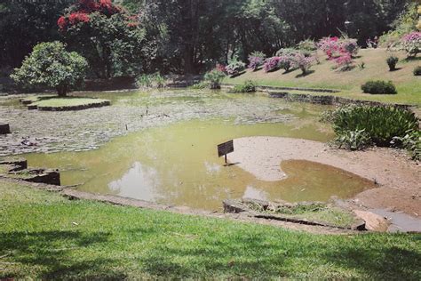 Peradeniya Botanical Garden Map | Fasci Garden