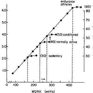 The Elevated Oxygen Consumption Relative To Activity Level