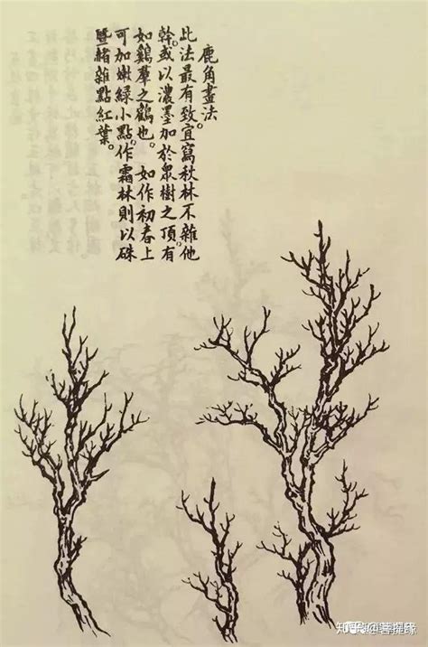 《芥子园画谱》——奠基现代盆景的“中国风” 知乎