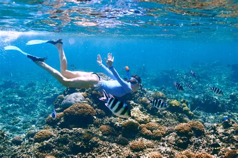 Hawaiian Snorkeling Guide