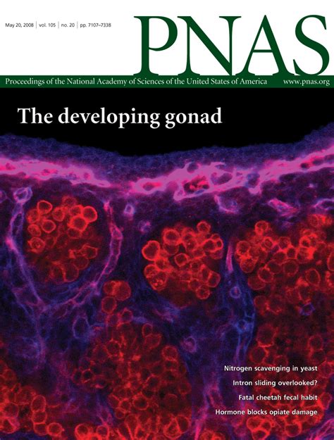 Prediction Of Membrane Protein Topology From First Principles Pnas