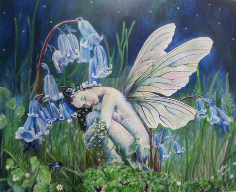 The Bluebell Fairy By Siobhan Lewis By Chevlette On Deviantart