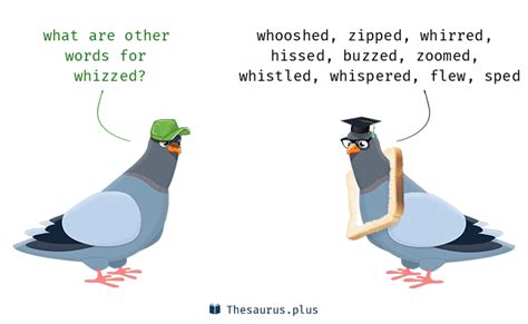 More 270 Whizzed Synonyms. Similar words for Whizzed.