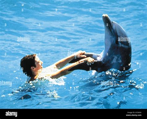 Flipper Elijah Wood Delphin Stock Photo Alamy