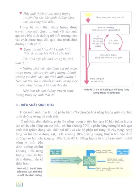 SGK Scan Bài 45 Dòng năng lượng trong hệ sinh thái và hiệu suất sinh