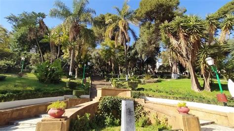 Top Things To Do At Beirut Garden Algiers