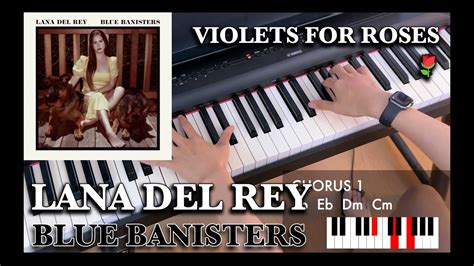 Piano Chords Violets For Roses Lana Del Rey Youtube