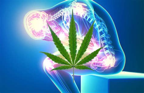 How Cannabis Treats Chronic Pain