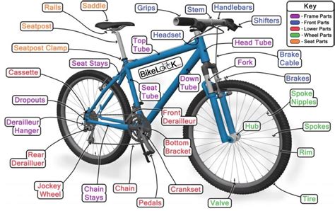 Trek Mountain Bike Replacement Parts Diagram | Reviewmotors.co