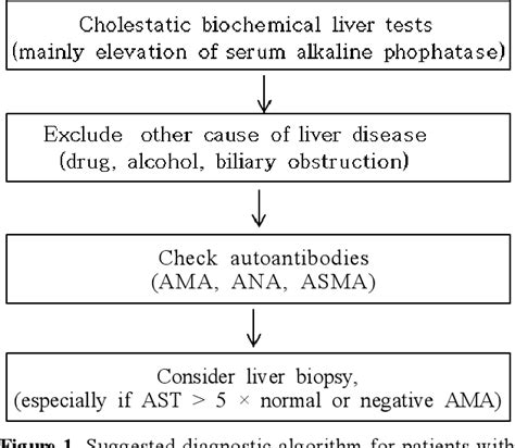 Figure 1 From Management Of Primary Biliary Cirrhosis Semantic Scholar