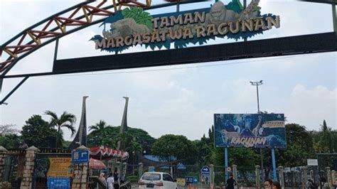 Evaluasi Hari Pertama Taman Margasatwa Ragunan Dibuka Kembali