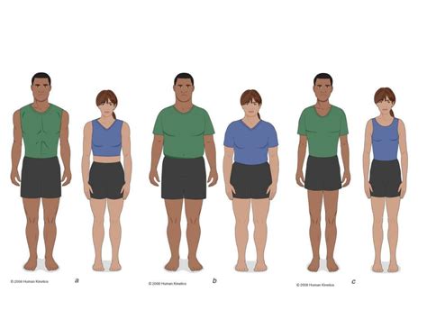 PPT Age And Sex Related Differences And Their Implications For Resistance Exercise PowerPoint