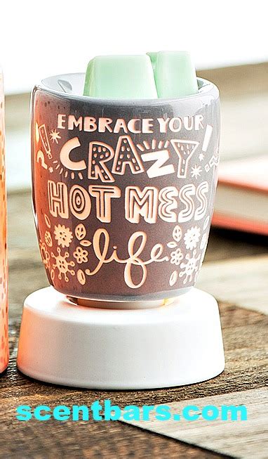 Crazy Hot Mess Scentsy Warmer Scentsy Online Store