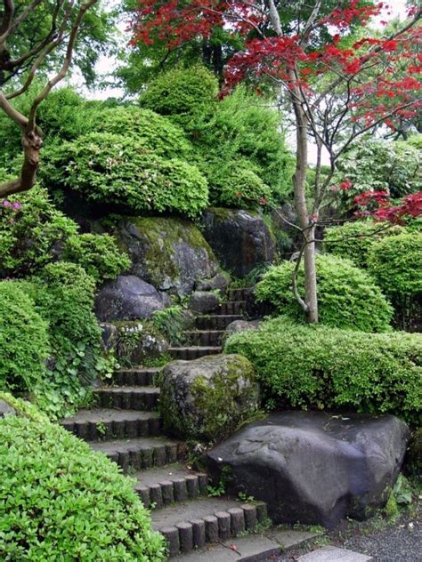 Landscape Plants: Japanese Garden Landscape Plants