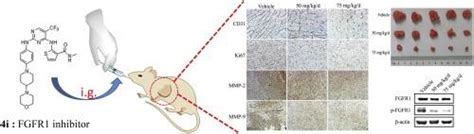 Design Synthesis And Evaluation Of Novel Pyrimidinylaminothiophene